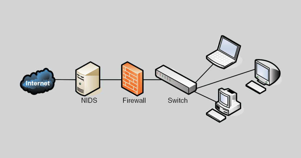Internet comes through Netherlands dedicated server's network-based intrusion detection system, firewall and use the network switch to connect the devices